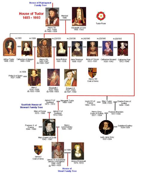 the 5 tudor monarchs|tudor dynasty family tree.